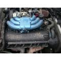 dezmenbrez BMW E30 325 I ( ursulet)
