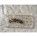 vand carcase originale iphone 5 si 5s