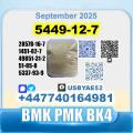 5449-12-7 BMK PMK bk4 1451-82-7 factory stable supply