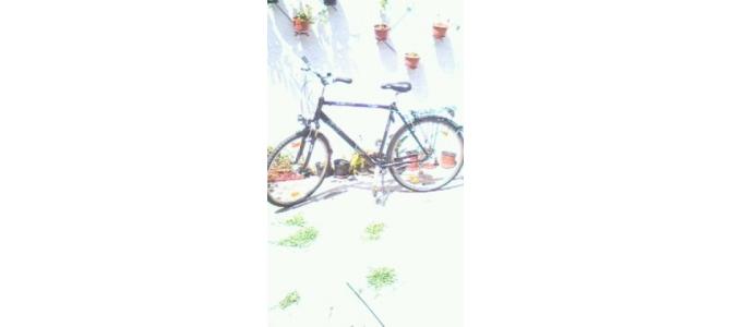 vand bicicleta KTM urgent