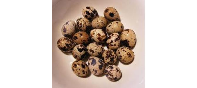 VAND OUA DE PREPELITA 9 LEI 24 BUC. LIVRARE LA DOMICILIU.