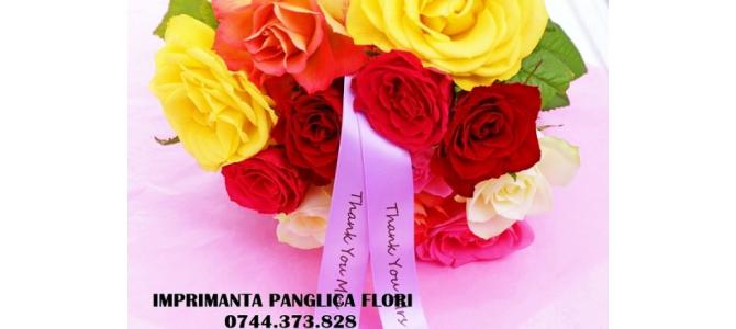 Imprimanta scriere panglici textile / PVC, pentru florarii