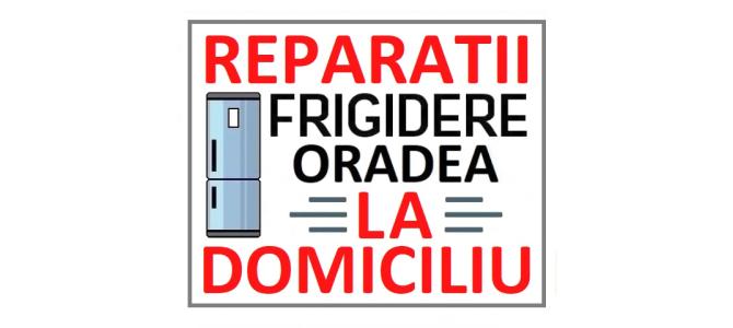 Reparatii Frigidere la Domiciliu in Oradea