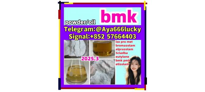 New bmk powder/oil CAS 5449-12-7  cheap strongest