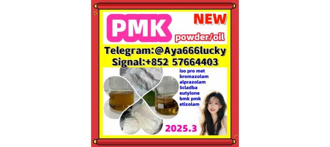New pmk powder/oil  CAS 5449-12-7 718-08-1