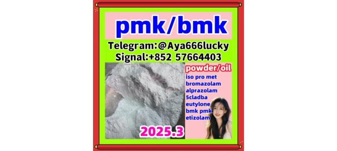 New bmk powder/oil  New pmk powder/oil  CAS 5449-12-7