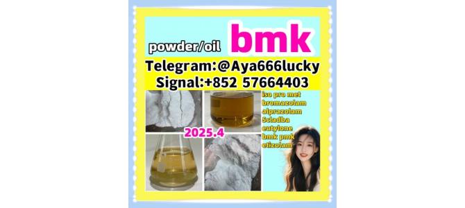 New bmk powder/oil CAS 5449-12-7  24h delivery