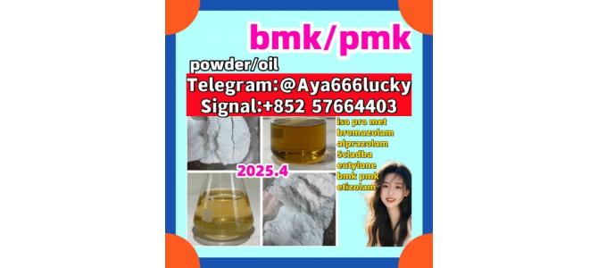 New bmk powder/oil  New pmk powder/oil  5449-12-7