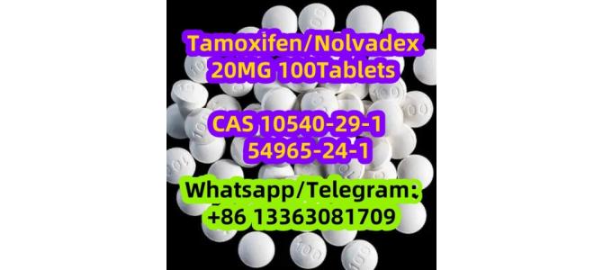 Tamoxifen20 MG x 100 Tablets 10540-29-1 54965-24-1