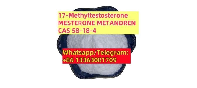17-Methyltestosterone CAS 58-18-4 Powder