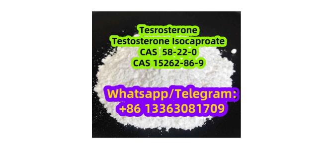 Testosterone CAS 58-22-0 CAS 15262-86-9