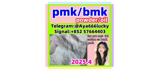 New bmk  pmk powder/oil  5449-12-7 factory sells