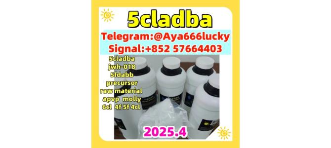 Factory supply 5CL-ADB-A Strongest research chemical