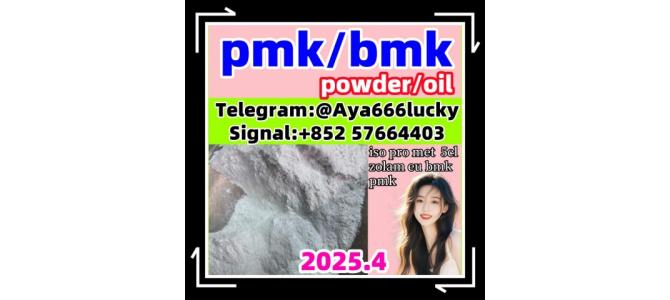 New bmk pmk powder/oil CAS 5449-12-7 407-97-6