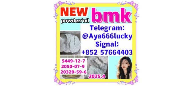 New pmk powder bmk oil 5449-12-7 52190-28-0