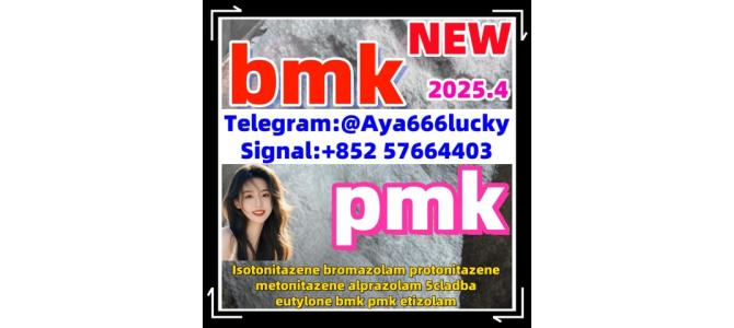 New pmk powder bmk powder CAS 5449-12-7