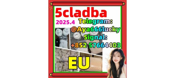 Hot Selling 5cladba, 5cladb, 5cl, 5cl-adb, 5cl-adb-a,