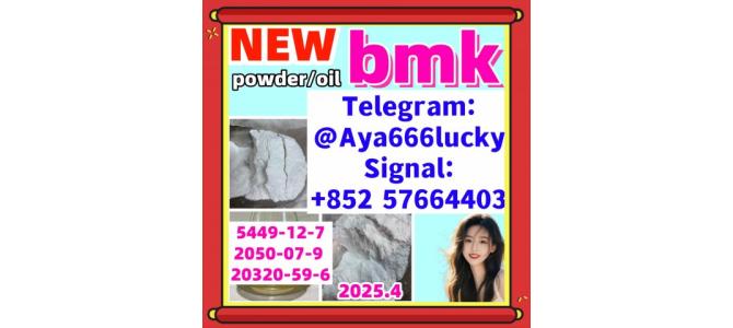 New pmk powder,5449-12-7 ,China real Supplier ,Door to Door