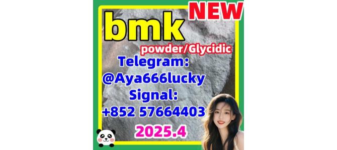 China BMK BMK powder white color for chemcal research