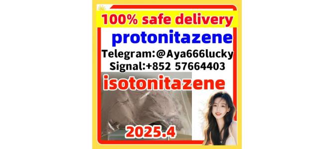 119276-01-6 protonitazene Factory direct  isotonitazene