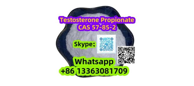 Testosterone Propionate Steroid raw materials CAS 57-85-2
