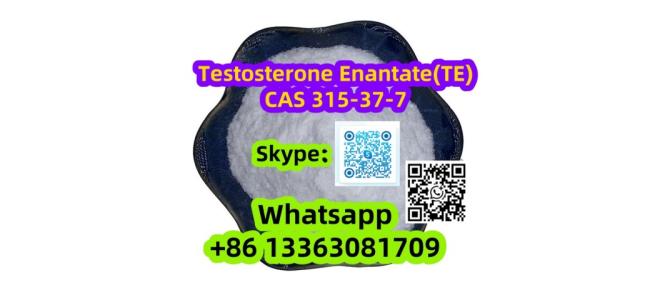 Testosterone Enanthate(TE) Steroid CAS 315-37-7