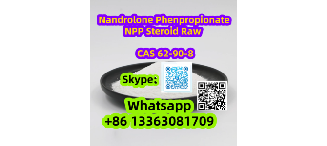 Nandrolone Phenpropionate (NPP) Steroid raw 62-90-8
