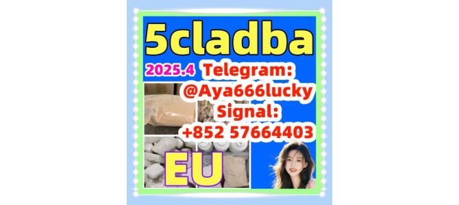 eutylone 2fdck mdma 3mmc 5cladba 5fadb 5cladbb