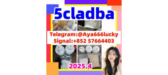 5cladba 5fadb 109555-87-5  adb-butinaca