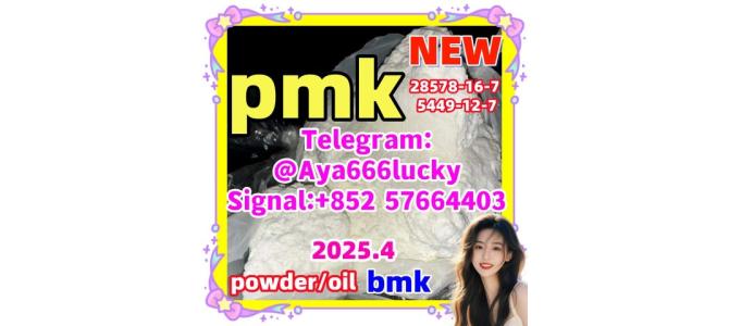 New pmk powder Glycidic 5449-12-7 718-08-1