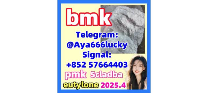bmk powder BMK Glycidic 5449-12-7 Door to Door