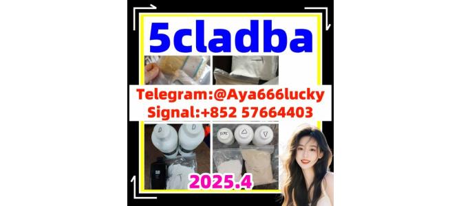 5cladba 5fadb adb-butinaca apvp molly dmf dmt