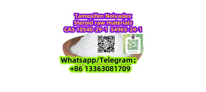 Tamoxifen Nolvadex 20mg x 100 Tablets CAS 10540-29-1