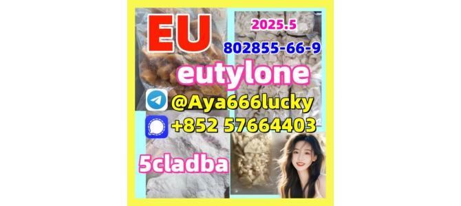 eutylone 802855-66-9 3mmc apvp gbl ghb molly