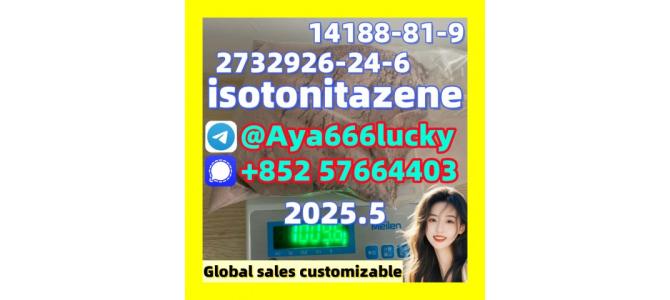 isotonitazene 2732926-24-6  14188-81-9