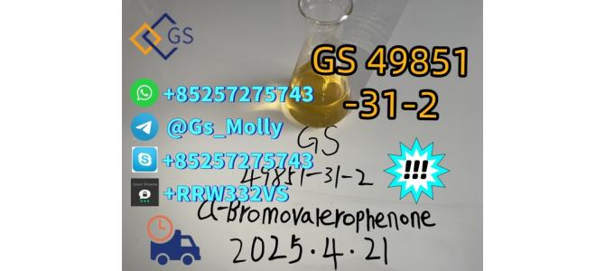 Hot sell GS 49851-31-2 factory price