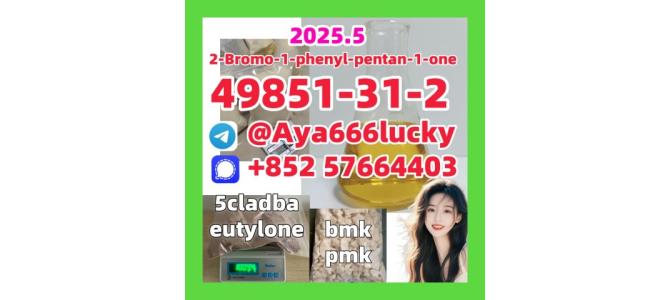 49851-31-2  2-Bromo-1-phenyl-pentan-1-one 5cladba eutylone