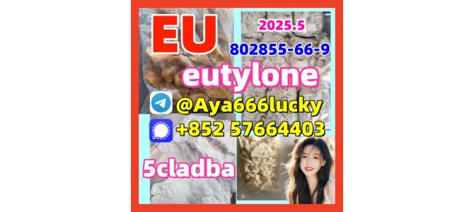 Free sample eutylone 802855-66-9 China Supplier