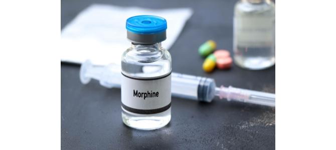 Morphine na zalogi v Sloveniji