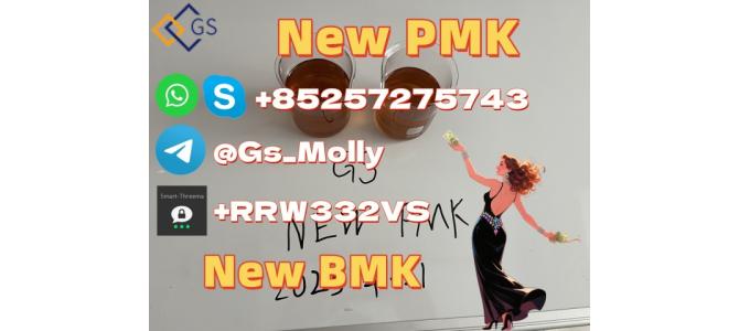 GS New Pmk Powder sodium salt China Supplier
