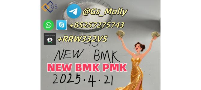 GS New BMK Glycidic Acid (sodium salt) Factory Price