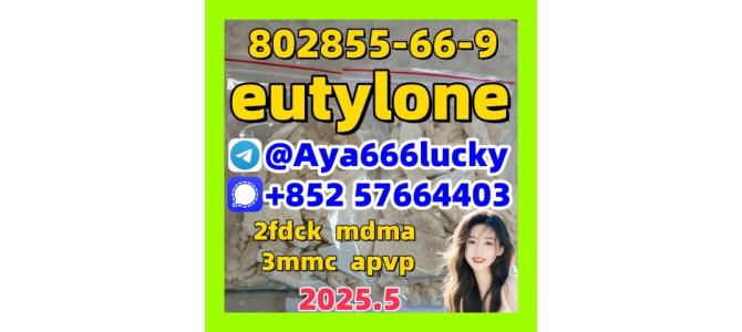 2fdck eutylone 802855-66-9 apvp 5cladba  mdma 3mmc