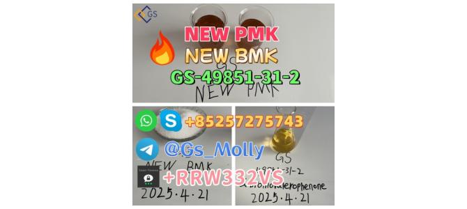 Hot Selling Pharmaceutical PMK BMK CAS 49851-31-2