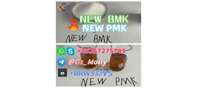 Best Precursor Supply Hot Selling GS PMK BMK