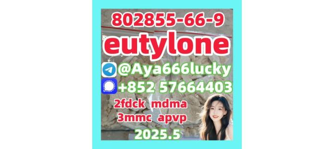 2fdck eutylone 802855-66-9 protonitazene