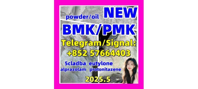 New Bmk pmk powder oil apvp molly dmf dmt Liquid powder