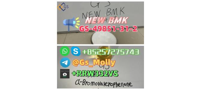 NEW GS BMK Glycidic Acid (sodium salt) CAS 49851-31-2