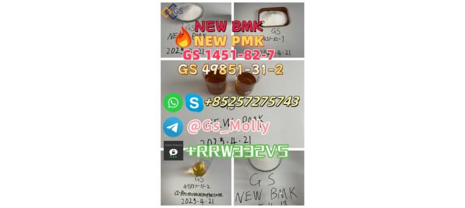 Hot Selling Best Precursor Supply BMK PMK Oil