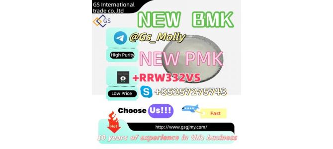 Premium GS New BMK Chemical Supplier