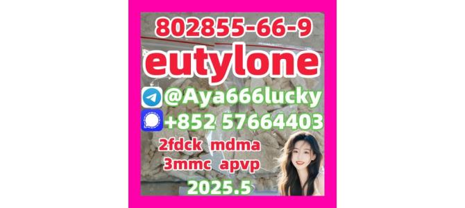 eutylone 2fdck mdma 3mmc apvp 802855-66-9